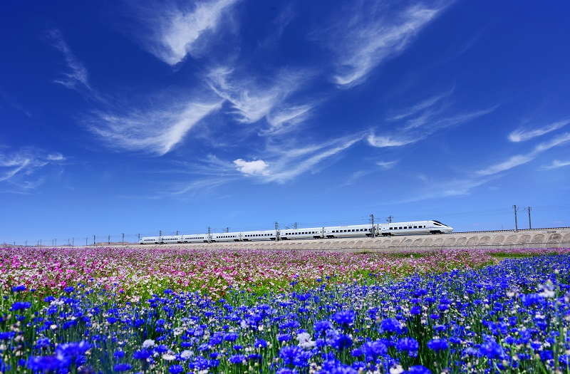 171592381109116235.jpeg 15我局承建的世界第一条高原高铁——兰新高铁.jpg